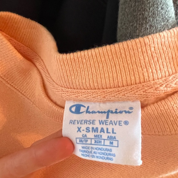 champion reverse weave hoodie - Picture 3 of 3